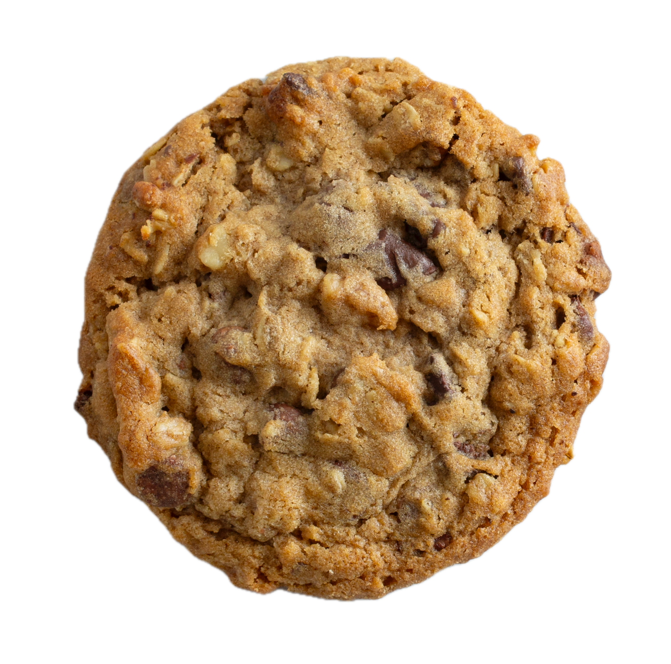 Golden brown cowboy cookie with chocolate chips, nuts, and oats on white background