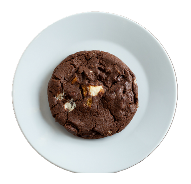 Double chocolate chip cookie with white chocolate chunks on a light blue ceramic plate
