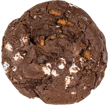 Rich chocolate cookie with white chocolate chips and caramel pieces on white background