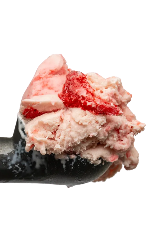 Pink and red mineral crystal specimen with white streaks held in a gloved hand against white background