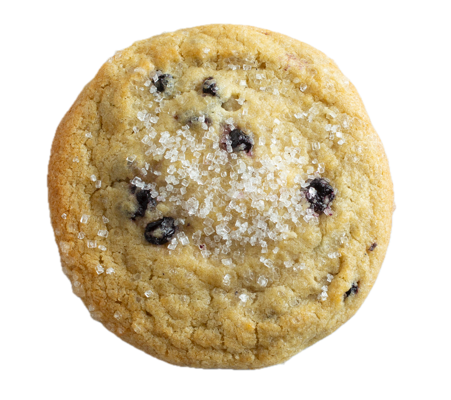 Golden lemon blueberry cookie with sparkling sugar crystals and dark blueberries, viewed from above on white background