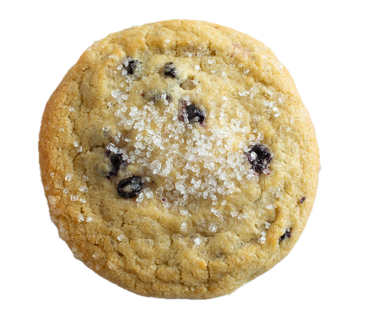 Golden lemon blueberry cookie with sparkling sugar crystals and dark blueberries, viewed from above on white background