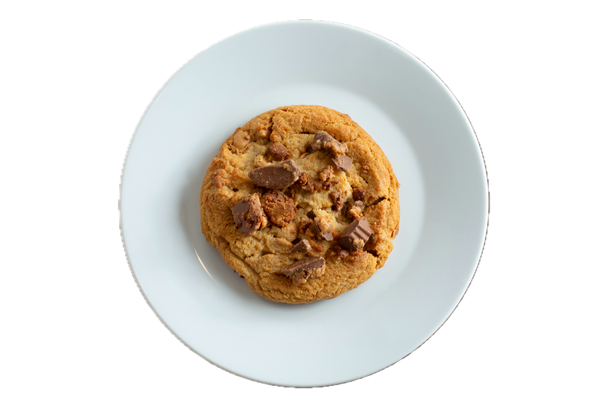 Golden chocolate chip cookie with peanut butter cup pieces on white plate against black background