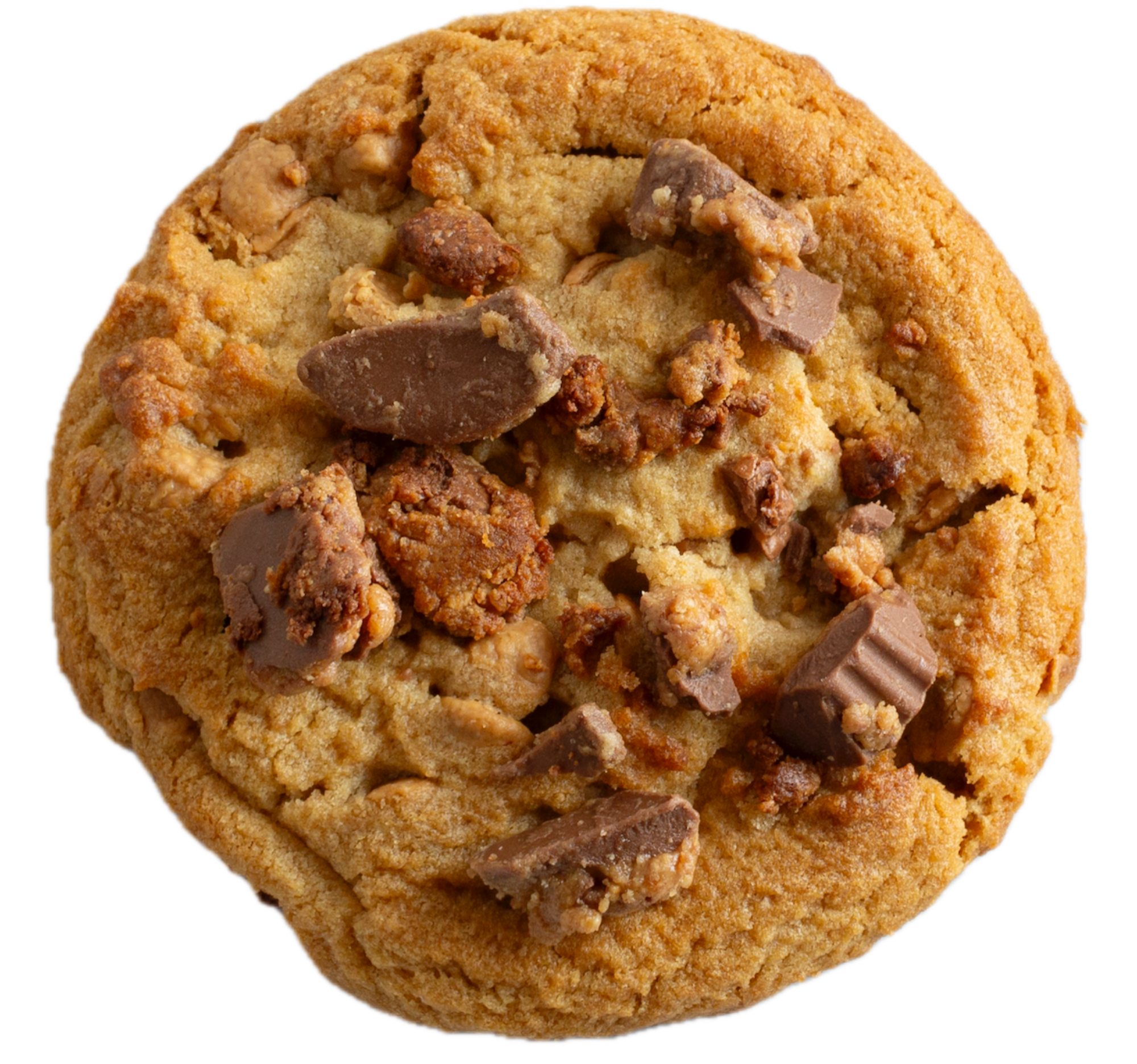 Golden brown cookie with chocolate chunks and peanut butter cup pieces on black background