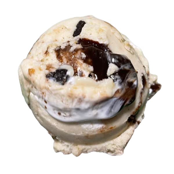 S'mores flavored ice cream scoop with chocolate chunks, marshmallow swirls, and graham cracker pieces