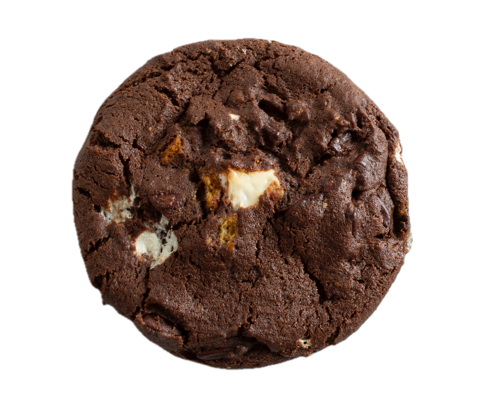 Rich chocolate cookie with white marshmallow and golden graham cracker pieces on white background